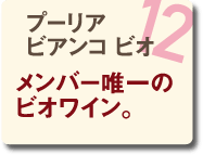 12 プーリア ビアンコ ビオ メンバー唯一のビオワイン。